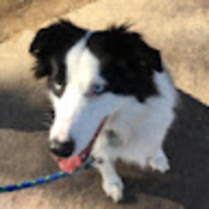 Meet your Posher, Cora